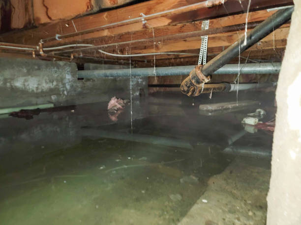 Best Flood restoration services  in Hanover, IN