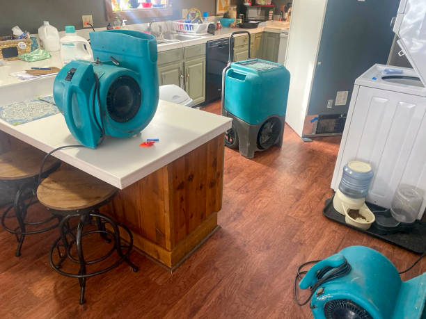 Best Residential water damage restoration  in Hanover, IN