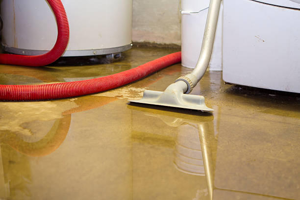 Best 24-hour water damage restoration  in Hanover, IN