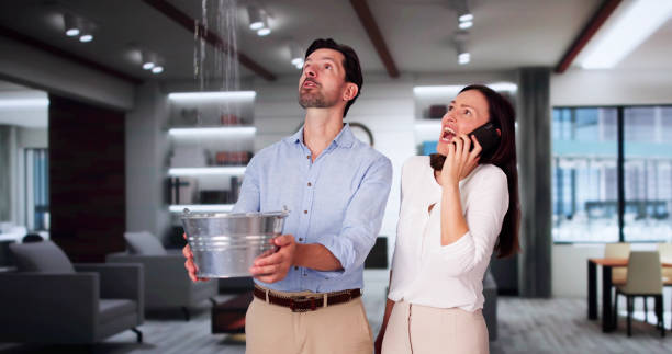 Best Water damage restoration near me  in Hanover, IN