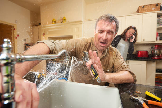 Best 24/7 water damage repair  in Hanover, IN